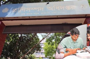 প্রাণিসম্পদ অধিদপ্তর জব ২০২৪ এইচএসসি পাসে সরকারি চাকরি, নেবে ৬৩৮ জন 