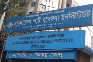 বাংলাদেশ পাট গবেষণা ইনস্টিটিউট নিয়োগ ২০২৪-১৩টি পদে সরকারি চাকরির নতুন নিয়োগ বিজ্ঞপ্তি
