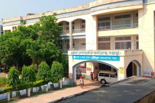 বগুড়া জেলা প্রশাসকের কার্যালয় নিয়োগ ২০২৪ আবেদন শুরু ২০ জুলাই থেকে