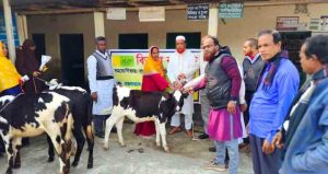 বাছুর দেওয়ার কথা বলে ফটোসেশন করে হাতে খিচুড়ি ধরিয়ে দিল এনজিও