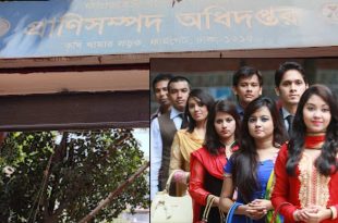 প্রাণিসম্পদ অধিদপ্তর চাকরি ২০২৫