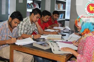 শিক্ষা প্রকৌশল অধিদপ্তর নিয়োগ ২০২৫, নিবে ১৮৭ জন