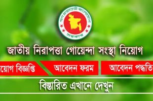 NSI Job Circular 2025, গোয়েন্দা সংস্থায় বিশাল নিয়োগ
