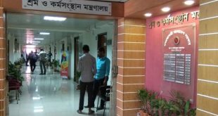 শ্রম ও কর্মসংস্থান মন্ত্রণালয়ে নিয়োগ বিজ্ঞপ্তি ২০২৫ চলছে আবেদন