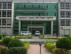 All News Bangla – সর্বশেষ বাংলা খবর ও চাকরি আপডেট