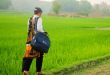 brac-ngo-job-2025 – ব্র্যাক এনজিও নিয়োগ বিজ্ঞপ্তি