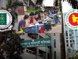 All News Bangla – ক্যারিয়ার টিপস ও চাকরি আপডেট